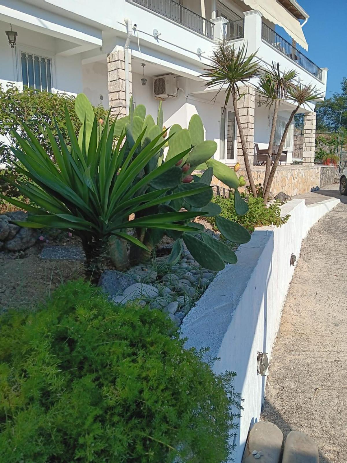 Appartement Bougainvillea Corfu  Exterior photo