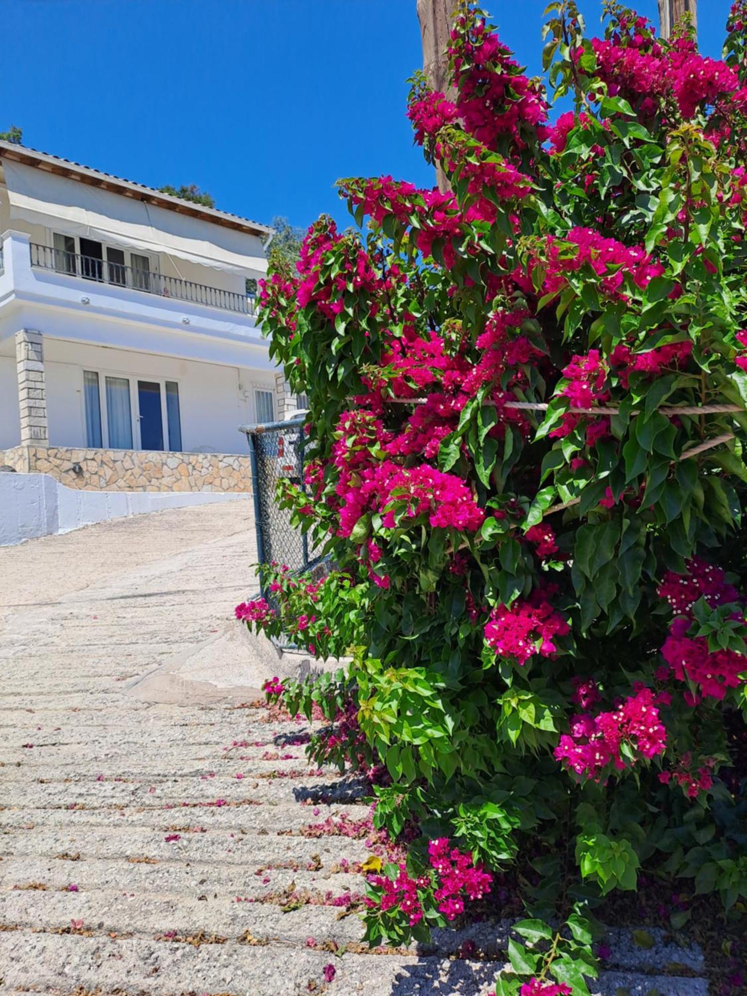 Appartement Bougainvillea Corfu  Exterior photo