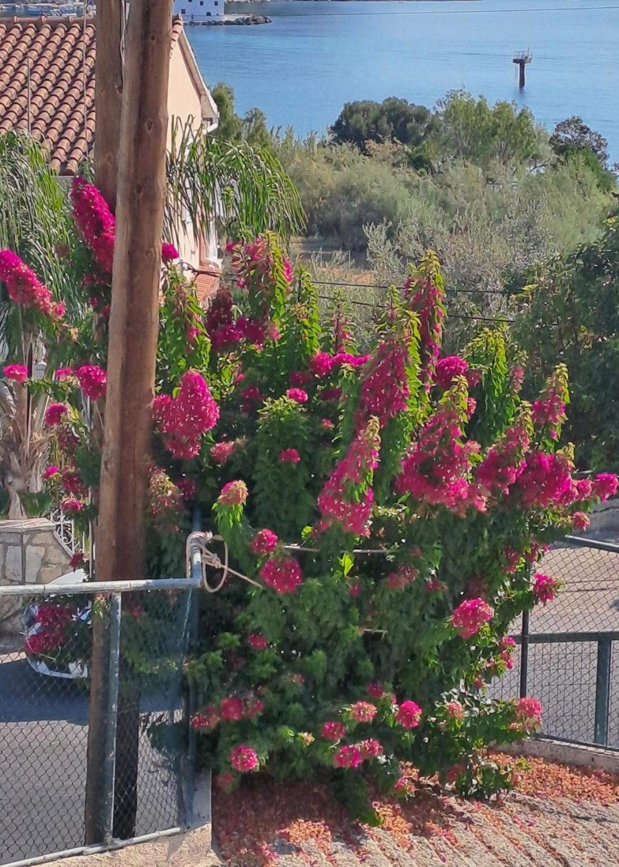 Appartement Bougainvillea Corfu  Exterior photo